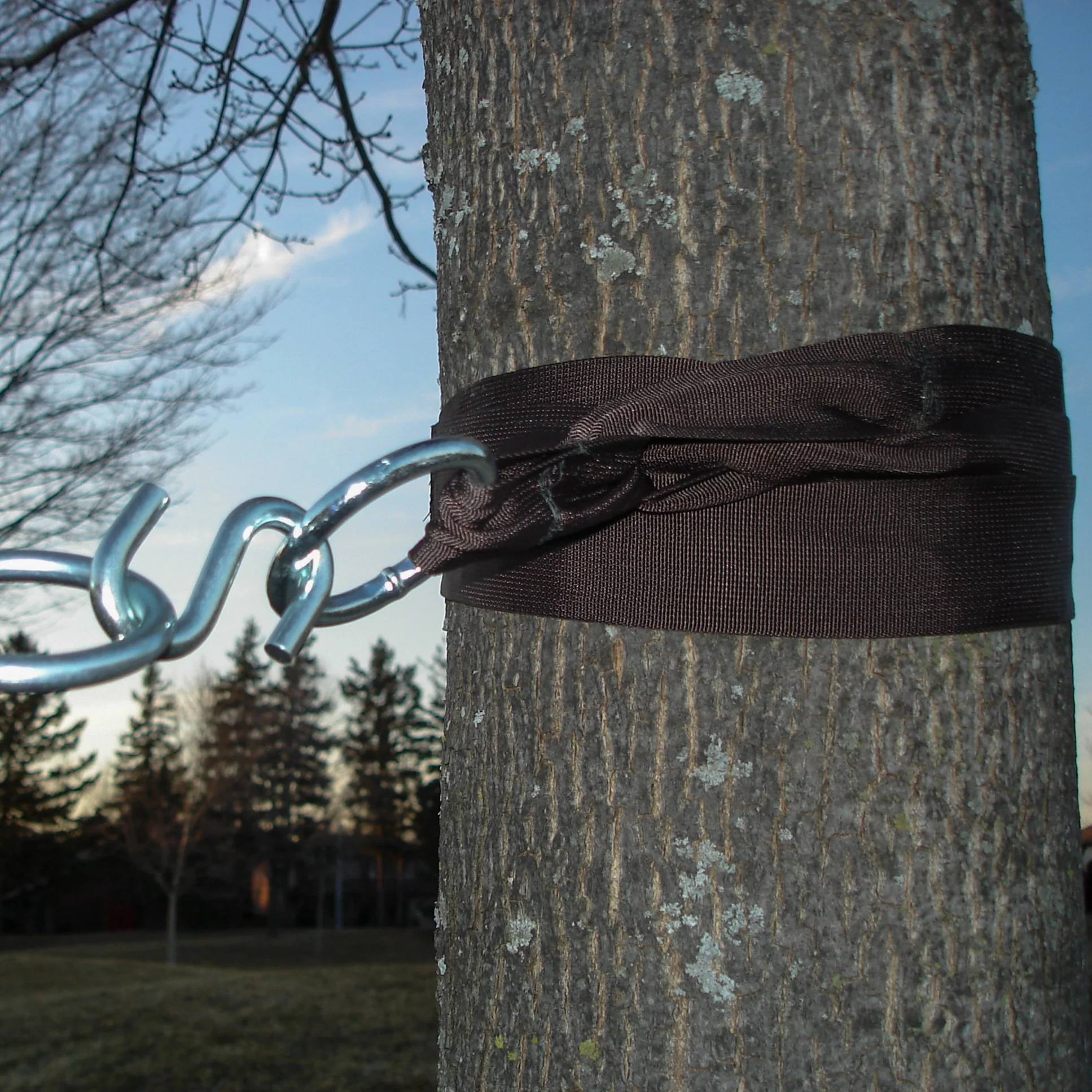 Eco-Friendly Tree Straps - 2 Pack - Image 5
