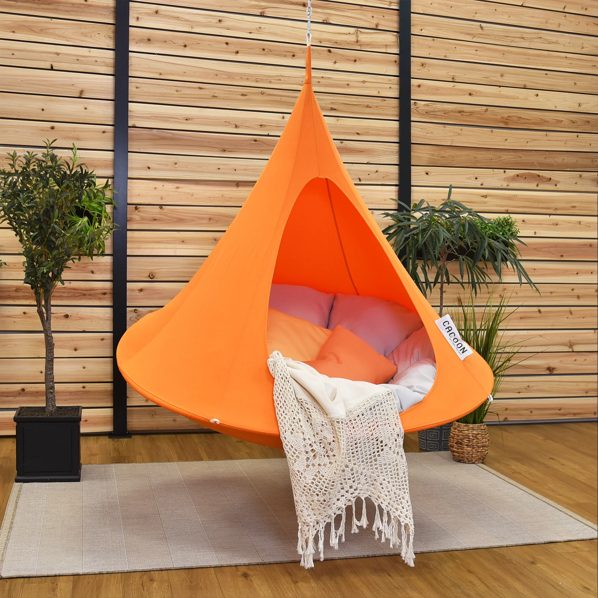 Single Cacoon - Nectarine - Image 3
